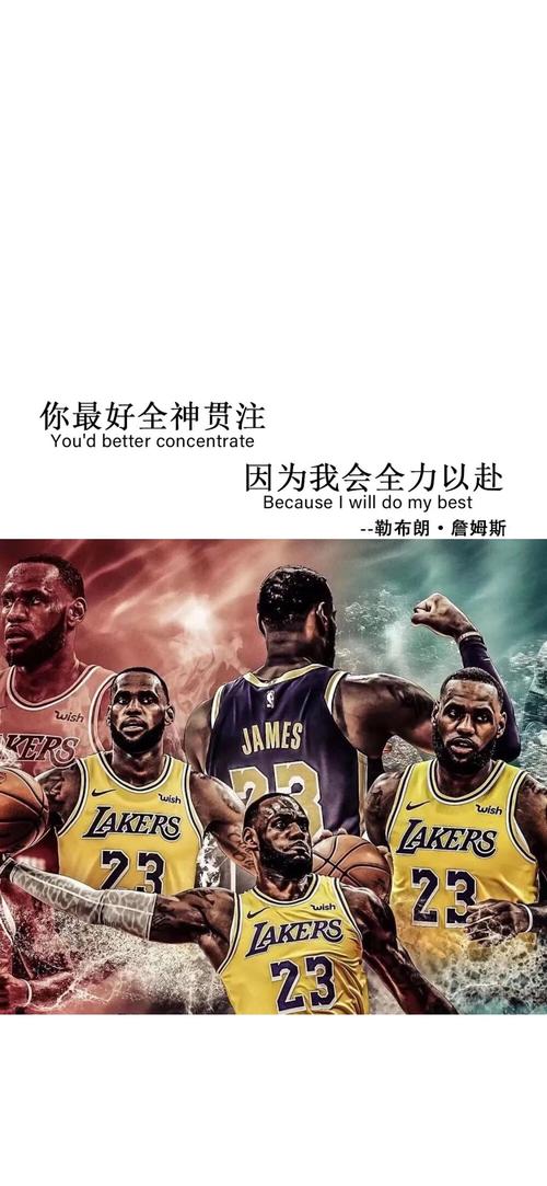 里德提到的